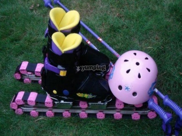 Grass Ski equipment /tb_Snow ski equipment set.jpg